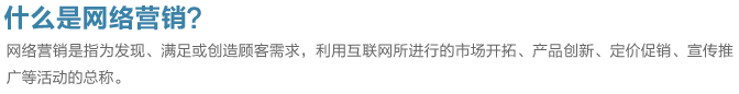 什么是网络营销?